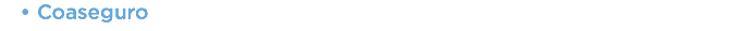 Coaseguro